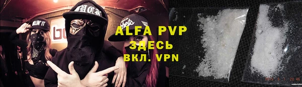 амф Богданович