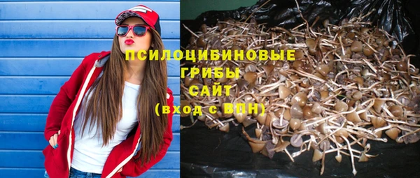 MDMA Богородск