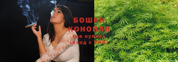 амф Богданович