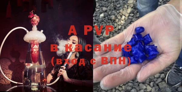 амф Богданович